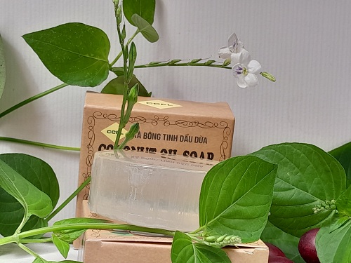 xà bông dầu dừa CCFL xà bông dầu dừa CCFL