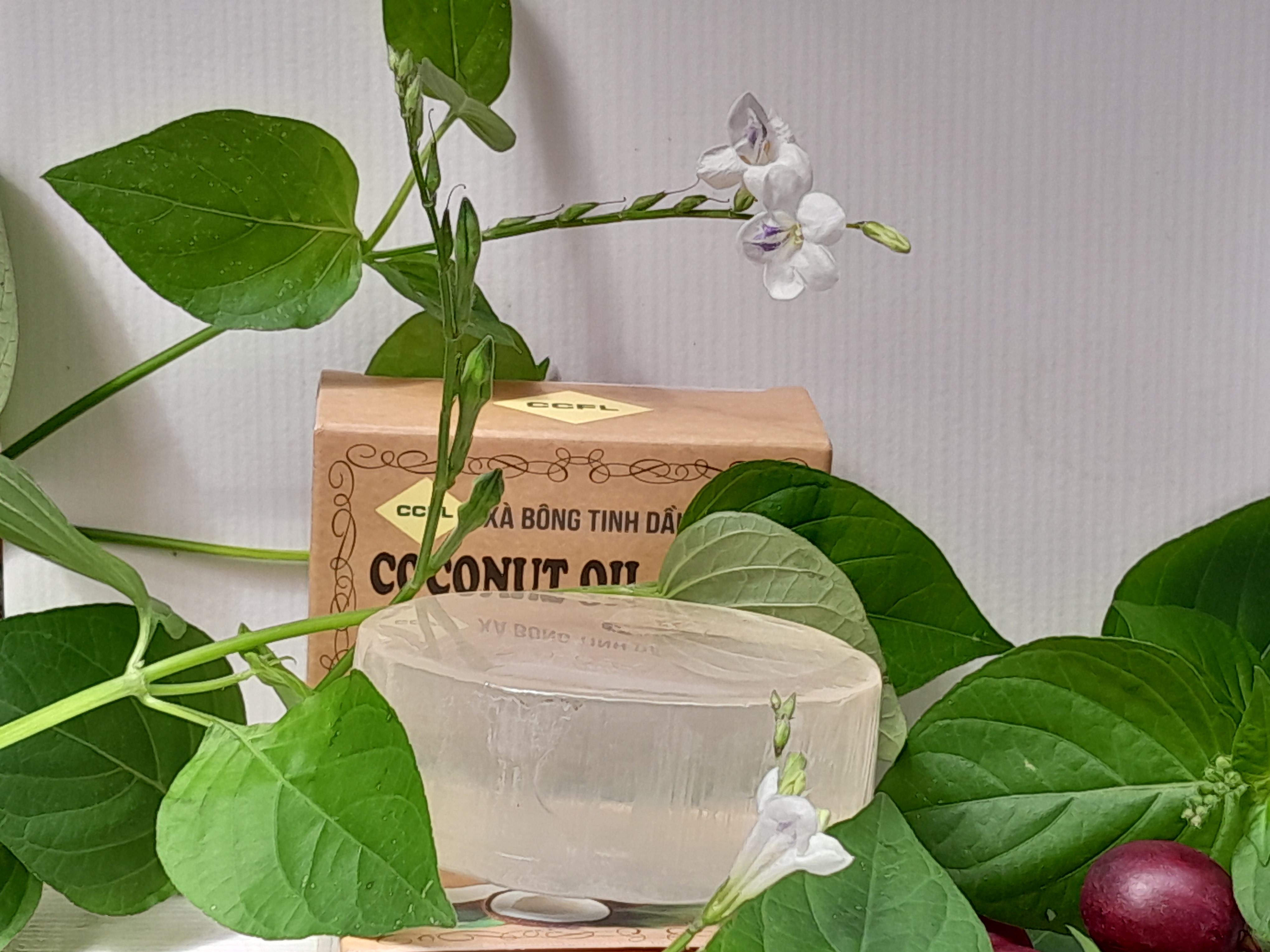 xà bông trị mụn lưng xà bông trị mụn lưng