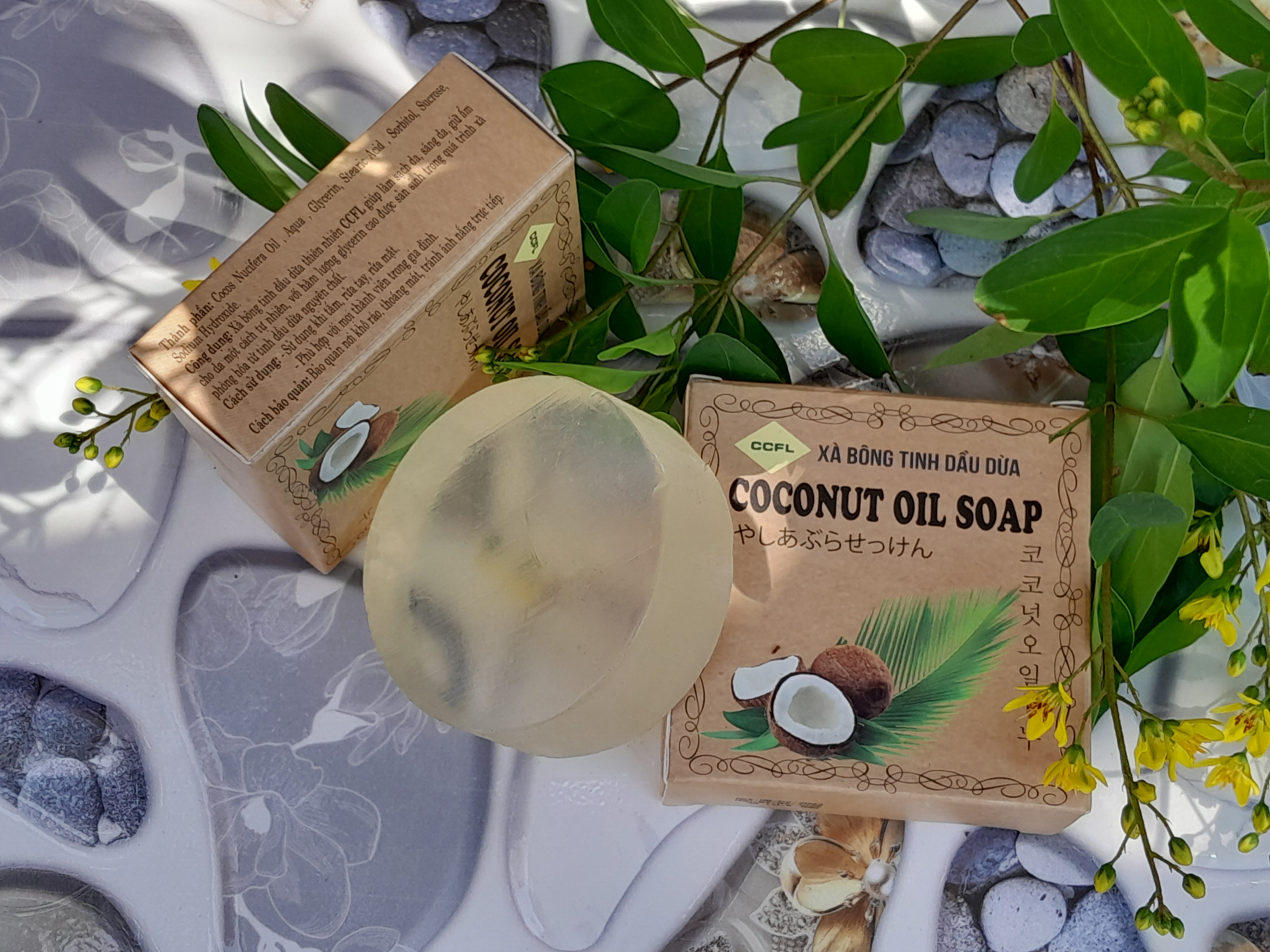 viem chan long viem chan long