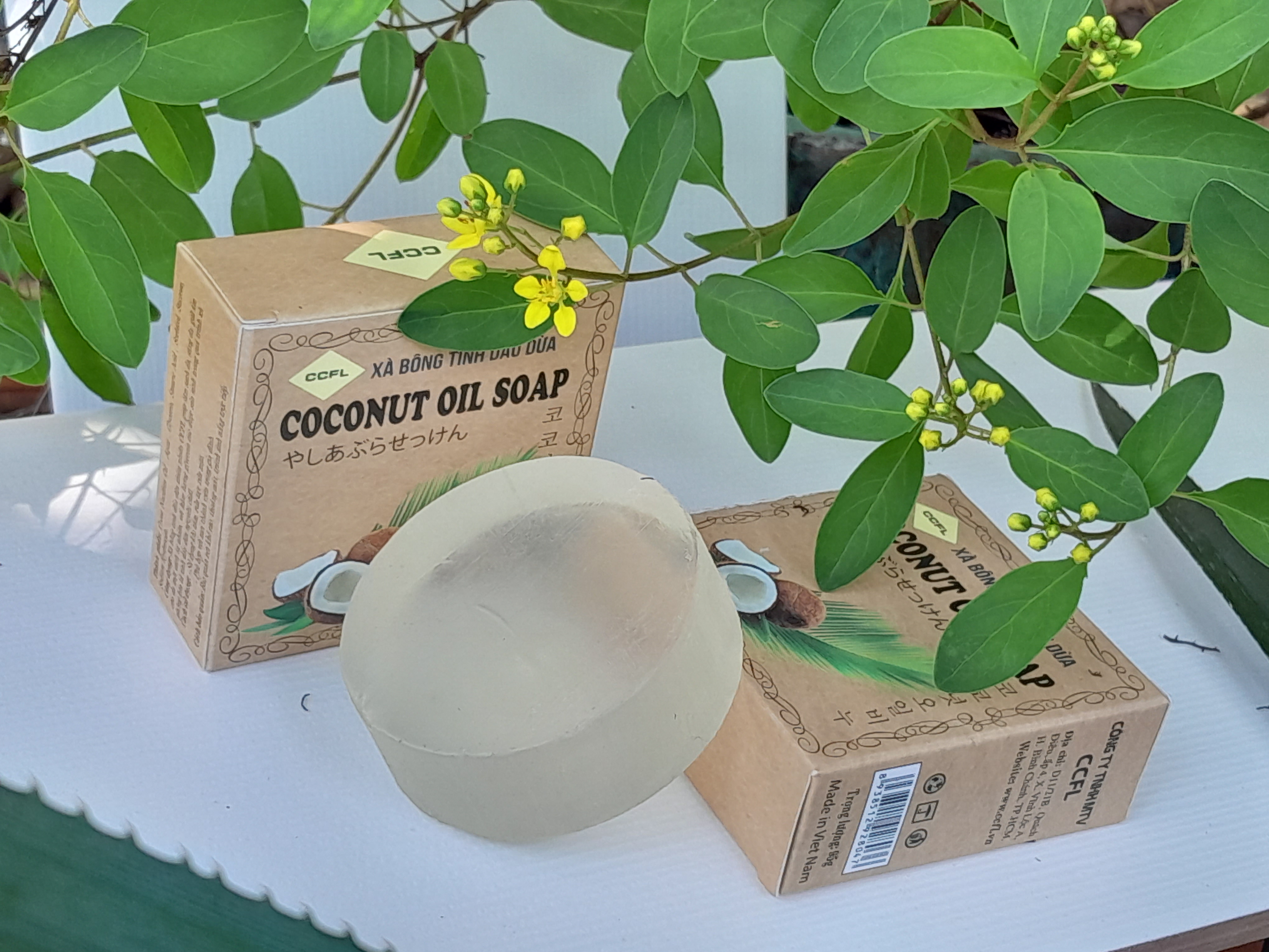 xà bông dầu dừa có tốt không xà bông dầu dừa có tốt không