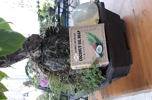 xà bông dừa xà bông dừa