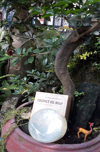 xà bông dừa ccfl giảm dị ứng xà bông dừa ccfl giảm dị ứng