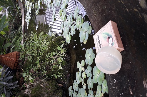 xà bông dừa CCFL thiên nhiên xà bông dừa CCFL thiên nhiên