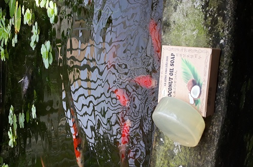 xà bông dừa ccfl xà bông dừa ccfl