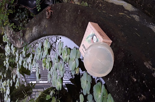 xà phòng dừa ccfl xà phòng dừa ccfl