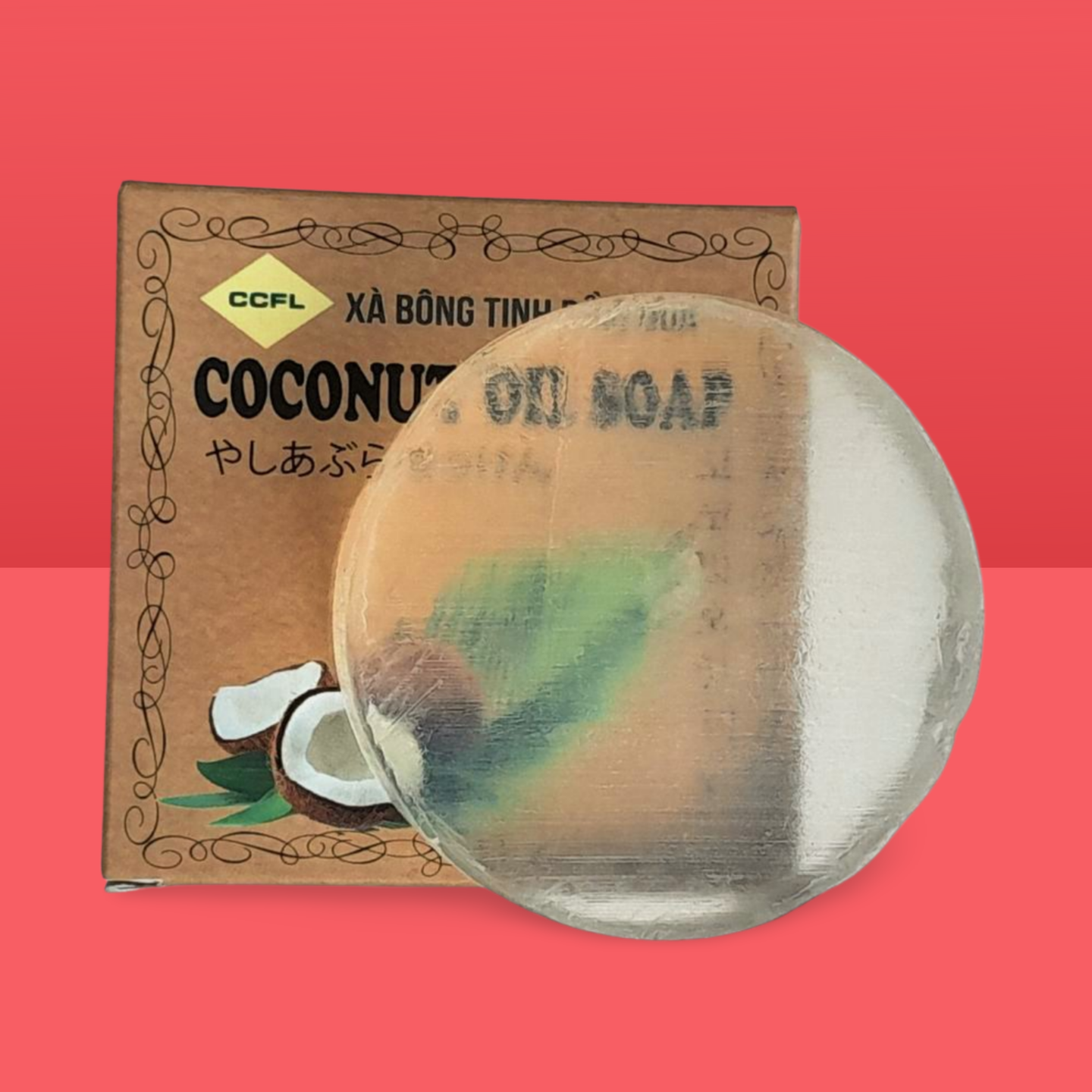 bị chàm bị chàm