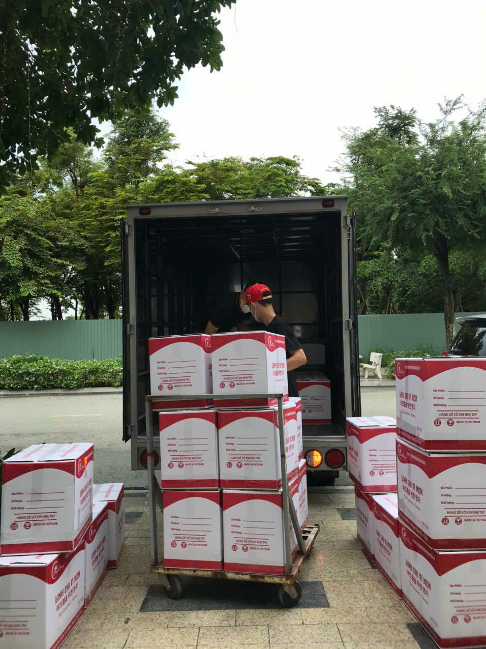 Linh Chi Vi Mụn Thanh Trang Chạy Hàng Cho Khách Linh Chi Vi Mụn Thanh Trang Chạy Hàng Cho Khách