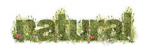 Những điều cần biết về đông y tái tạo da Thanh Trang Những điều cần biết về đông y tái tạo da Thanh Trang