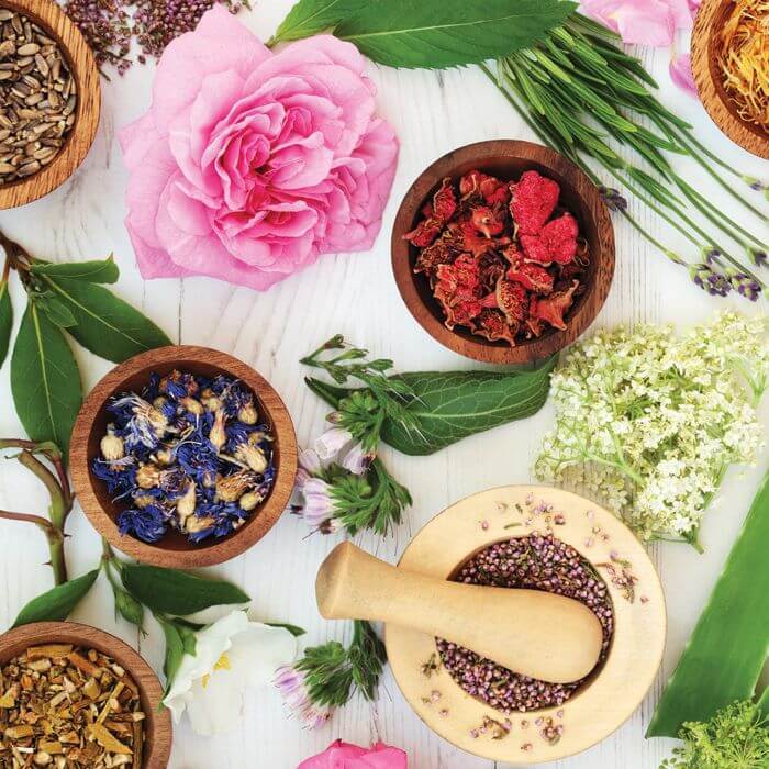 Nguồn gốc mỹ phẩm Thanh Trang đến từ đâu có an toàn không? Nguồn gốc mỹ phẩm Thanh Trang đến từ đâu có an toàn không?