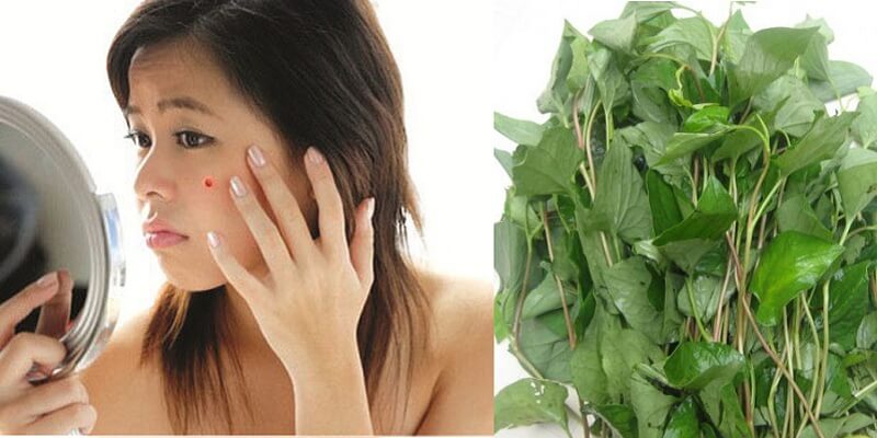 Mỹ phẩm Thanh Trang giá bao nhiêu và có đáng để bạn sở hữu? Mỹ phẩm Thanh Trang giá bao nhiêu và có đáng để bạn sở hữu?