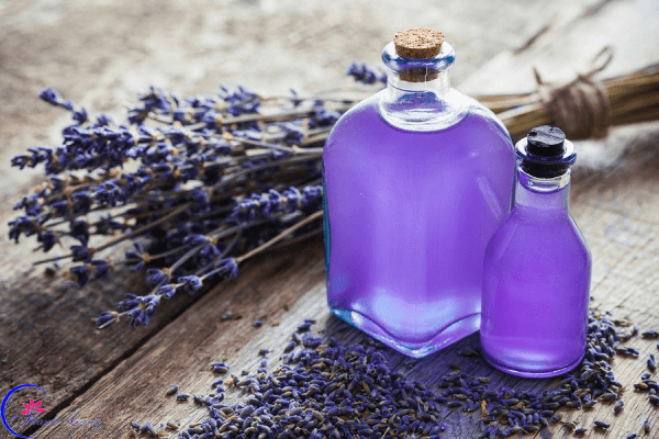 Cách trị mụn từ tinh dầu oải hương và serum trị mụn mỹ phẩm Thanh Trang Cách trị mụn từ tinh dầu oải hương và serum trị mụn mỹ phẩm Thanh Trang