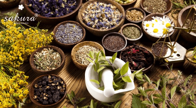 Công ty Mỹ phẩm Thanh Trang: Thương hiệu mỹ phẩm đến từ thiên nhiên Công ty Mỹ phẩm Thanh Trang: Thương hiệu mỹ phẩm đến từ thiên nhiên