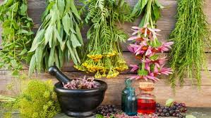 Tư vấn trị mụn: Có nên mua thuốc trị mụn Thanh Trang? Tư vấn trị mụn: Có nên mua thuốc trị mụn Thanh Trang?