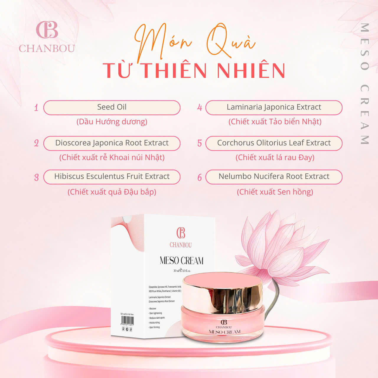 Hình ảnh sản phẩm Meso Cream Chanbou – Kem dưỡng ẩm & làm sáng da ban đêm Hũ kem dưỡng Meso Cream Chanbou giúp da căng bóng, sáng khỏe rõ rệt sau vài ngày sử dụng