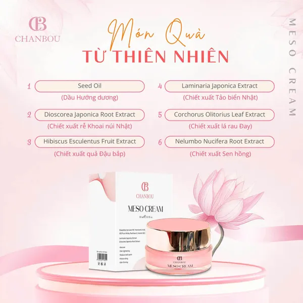 Meso Cream Chanbou – Kem Phục Hồi, Cấp Ẩm, Căng Bóng Ban Đêm