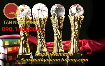 Top 3 CÚP BÓNG ĐÁ GIÁ RẺ thông dụng ở Việt Nam