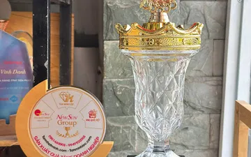 Mẫu Cúp Pickleball – Chất Lượng & Uy Tín 15 Năm Từ Tân Nhật Minh