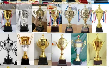 TOP 3 cúp cao cấp giá cả phải chăng nhất thị trường Việt Nam!