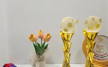 Làm Cúp Pickleball Theo Yêu Cầu – Dấu Ấn Đẳng Cấp Từ Tân Nhật Minh