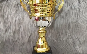 Cúp Thể Thao: Những Mẫu Cúp Cao Cấp và Đẹp từ Tân Nhật Minh