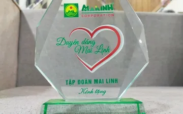 Các Mẫu Kỷ Niệm Chương: Những Điểm Nhấn Từ Tân Nhật Minh