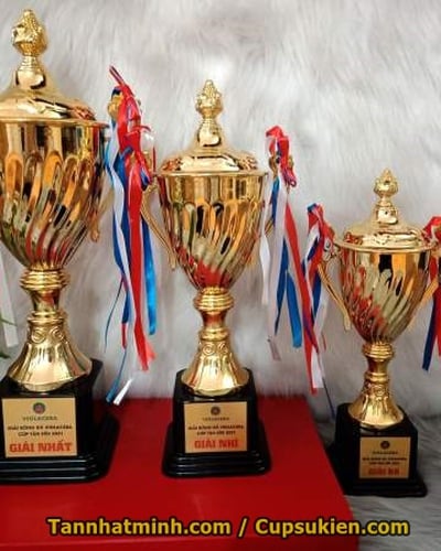 Mua cúp bóng đá, cúp lưu niệm, 2