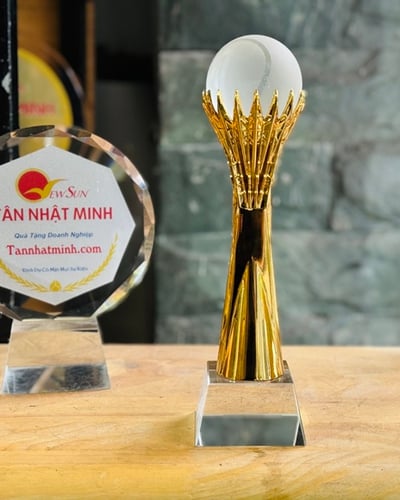 Cúp Vinh Danh, Lưu Niệm Mạ Vàng 12
