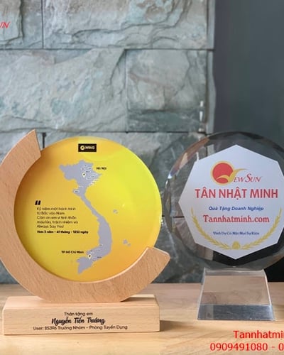 Kỷ niệm chương Phale siêu đẹp 10