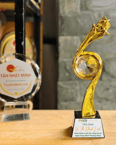 Cúp Vinh Danh, Lưu Niệm Mạ Vàng 24