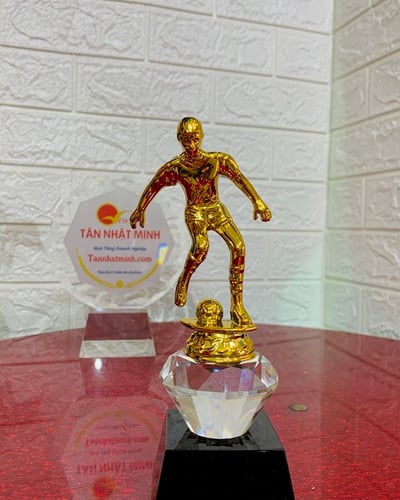 Mua cúp bóng đá, cúp lưu niệm, 8