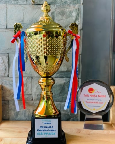 Mua cúp bóng đá, cúp lưu niệm, 6