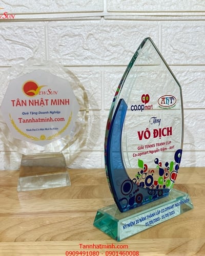 kỷ niệm chương thủy tinh giá siêu rẻ 4