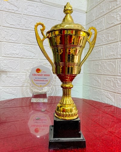 Mua cúp bóng đá, cúp lưu niệm, 5