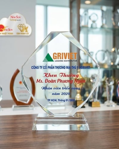 Kỷ niệm chương pha lê, Xưởng sản xuất pha lê (8)