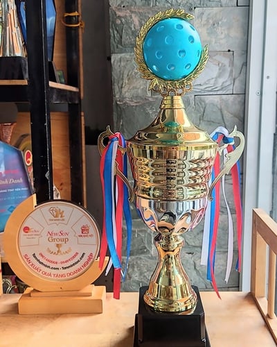 Cúp Pickleball Kim Loại Cao Cấp 2024 (3)