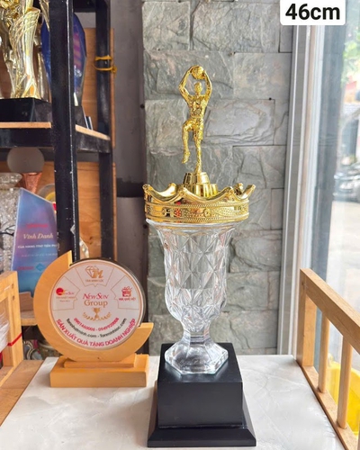Mẫu cúp bóng chuyền, cúp bóng rổ -  Đẹp (15)