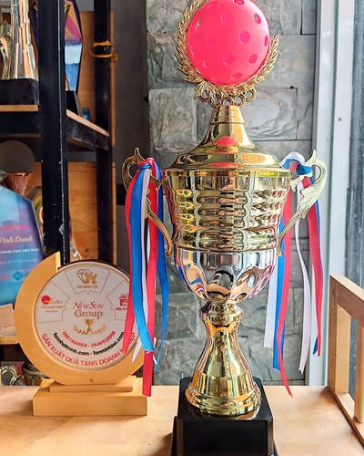 Cúp Pickleball Kim Loại Cao Cấp 2024 (3)