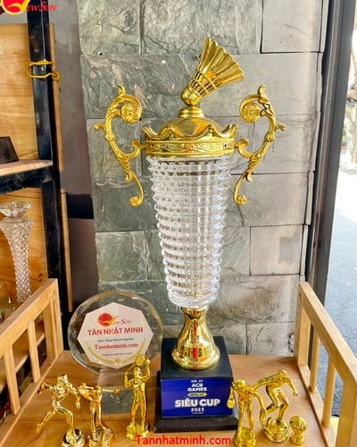 Cúp thể thao kim loại 51