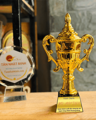 Cúp Vinh Danh, Lưu Niệm Mạ Vàng 25