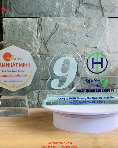 Kỷ niệm chương số 9