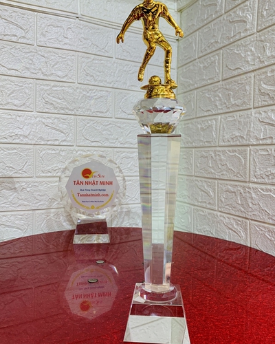 cúp thể thao, cúp lưu niệm ( Giá bán lẻ)- 29