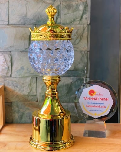 cúp lưu niệm, cúp thể thao ( Giá bán lẻ)- 26