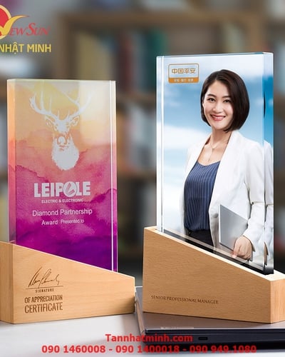 Kỷ niệm chương Phale siêu đẹp 12