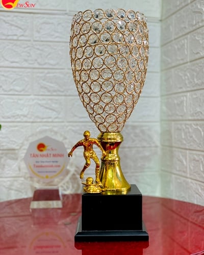 Mua cúp bóng đá, Bán cúp bóng đá ( Giá bán lẻ)- 24