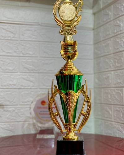 Cúp nhựa giá rẻ 9