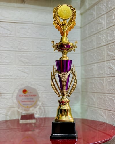 Cúp nhựa giá rẻ 7