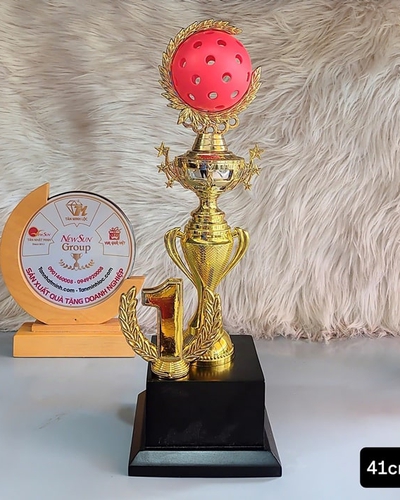 Mẫu Cúp Pickleball Nhựa Giá Rẻ (5)