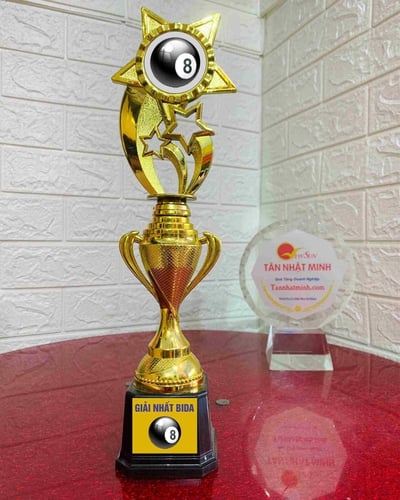 Đặt Mua Cúp Bida Giá Rẻ (8)