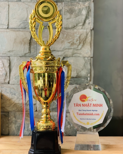 Cúp nhựa giá rẻ 1