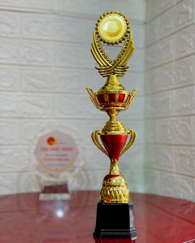 Cúp nhựa giá rẻ 23
